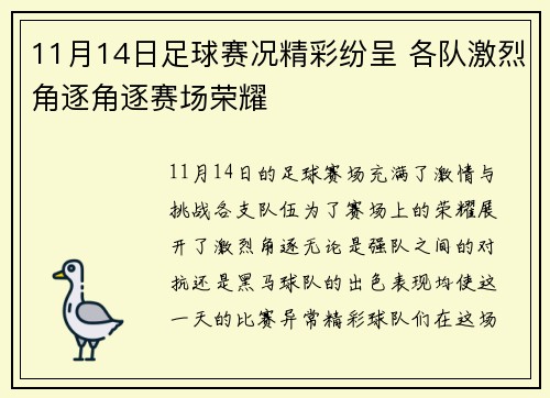 11月14日足球赛况精彩纷呈 各队激烈角逐角逐赛场荣耀