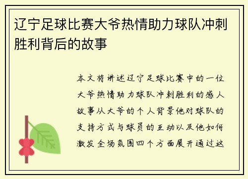 辽宁足球比赛大爷热情助力球队冲刺胜利背后的故事